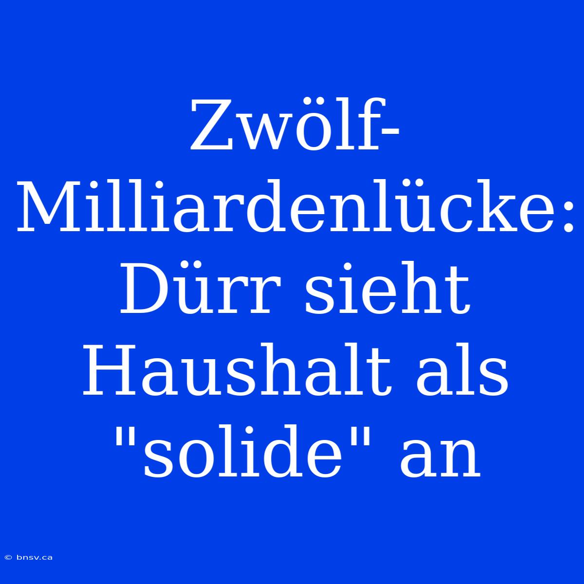 Zwölf-Milliardenlücke: Dürr Sieht Haushalt Als 